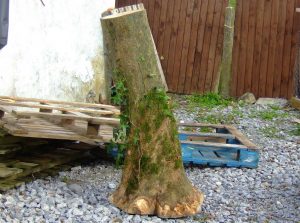 Hurling Stick Production Process at P. O'Kane hurls in Northern Ireland